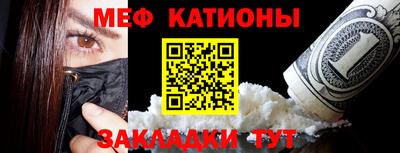 шишки Кандалакша