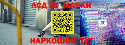 шишки Кандалакша