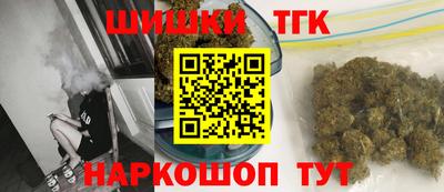 шишки Кандалакша