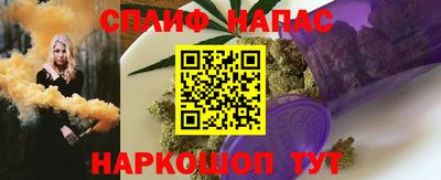 шишки Кандалакша