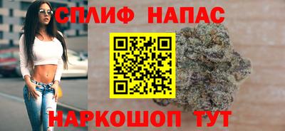 шишки Кандалакша