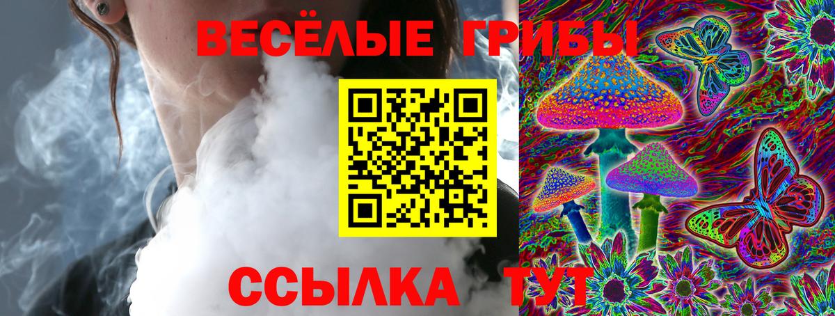 Галлюциногенные грибы Psilocybe Кувандык