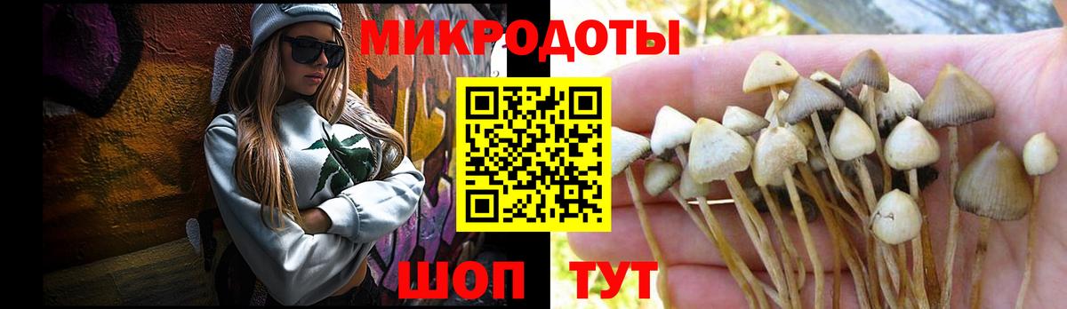 Галлюциногенные грибы прущие грибы  Вход с VPN  Кувандык 